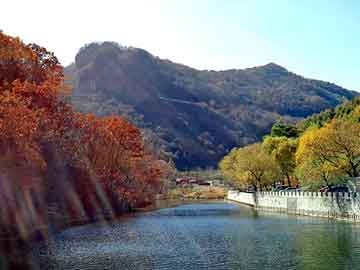 澳门二四六天天彩图库，神医